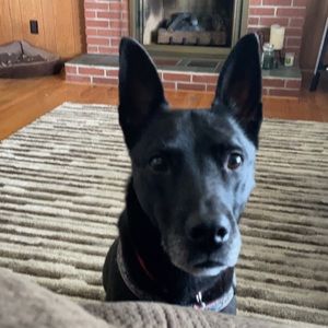 Meet your Posher, Ashlee